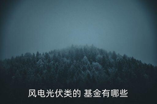 海外新能源基金,新能源排名第一的基金