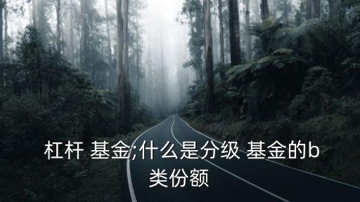 杠桿基金風(fēng)險折價率