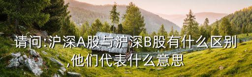 請問:滬深A股與滬深B股有什么區(qū)別,他們代表什么意思