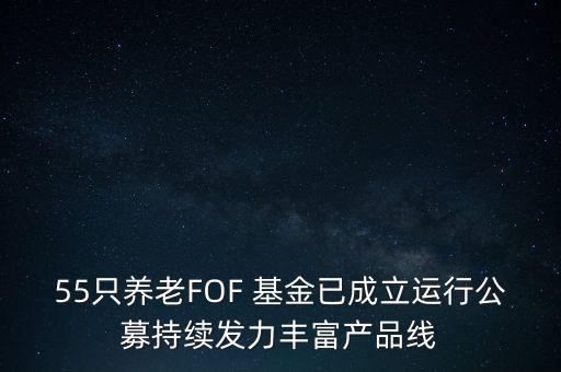 55只養(yǎng)老FOF 基金已成立運行公募持續(xù)發(fā)力豐富產品線