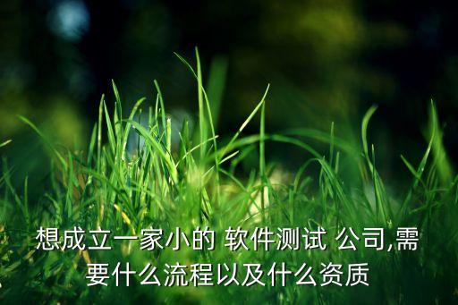 想成立一家小的 軟件測(cè)試 公司,需要什么流程以及什么資質(zhì)