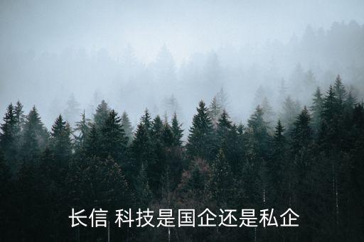  長信 科技是國企還是私企