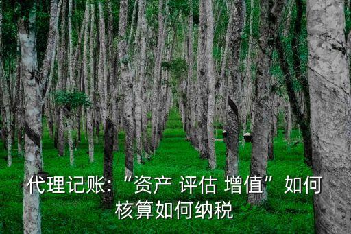 代理記賬:“資產(chǎn) 評(píng)估 增值”如何核算如何納稅