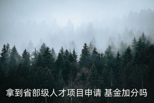 拿到省部級人才項(xiàng)目申請 基金加分嗎