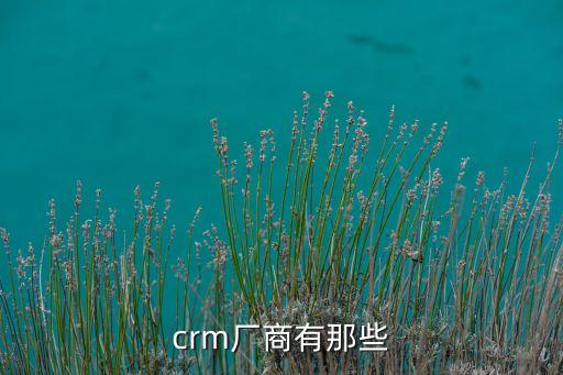 crm廠商有那些