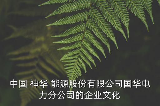 神華國(guó)網(wǎng)能源集團(tuán),新疆神華能源集團(tuán)有限公司