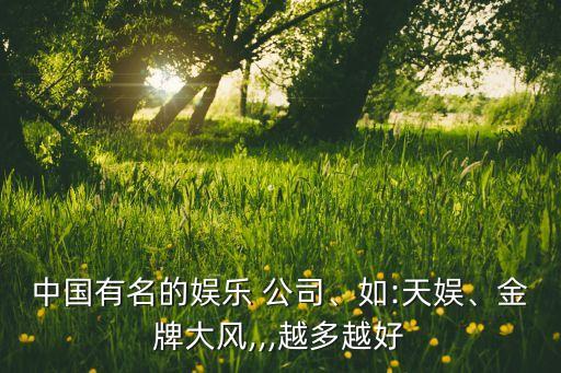 中國有名的娛樂 公司、如:天娛、金牌大風(fēng),,,越多越好