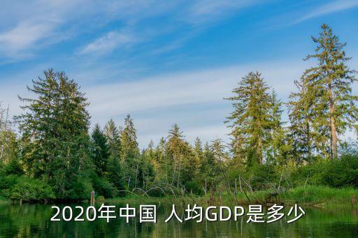 2020年中國 人均GDP是多少