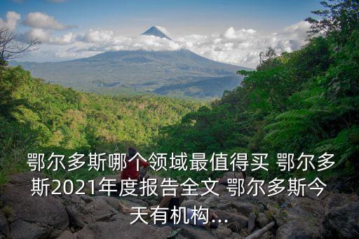  鄂爾多斯哪個(gè)領(lǐng)域最值得買 鄂爾多斯2021年度報(bào)告全文 鄂爾多斯今天有機(jī)構(gòu)...