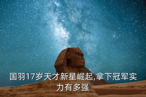 國羽17歲天才新星崛起,拿下冠軍實(shí)力有多強(qiáng)