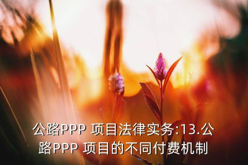 ppp項(xiàng)目的投資回報(bào)率,一般項(xiàng)目的投資回報(bào)率是多少