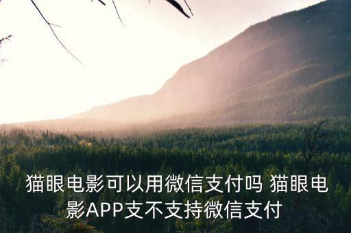  貓眼電影可以用微信支付嗎 貓眼電影APP支不支持微信支付