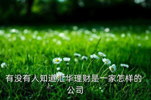 有沒(méi)有人知道匯華理財(cái)是一家怎樣的 公司