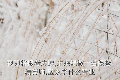 我即將報(bào)考志愿,未來(lái)想做一名保險(xiǎn) 精算師,應(yīng)該學(xué)什么專(zhuān)業(yè)