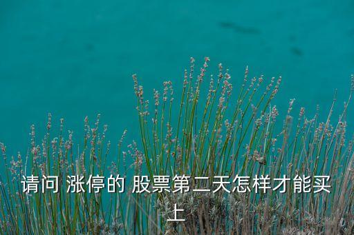 股票漲停后怎么買(mǎi),已經(jīng)漲停的股票怎么買(mǎi)