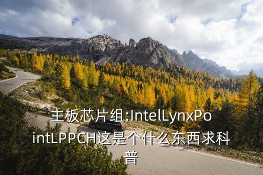 主板芯片組:IntelLynxPointLPPCH這是個什么東西求科普