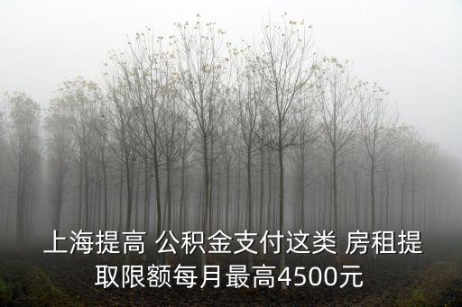  上海提高 公積金支付這類 房租提取限額每月最高4500元