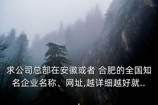 求公司總部在安徽或者 合肥的全國知名企業(yè)名稱、網(wǎng)址,越詳細越好就...