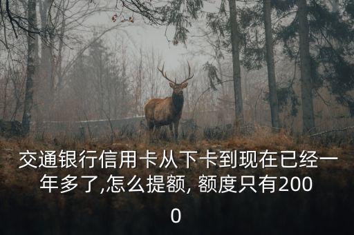  交通銀行信用卡從下卡到現(xiàn)在已經(jīng)一年多了,怎么提額, 額度只有2000