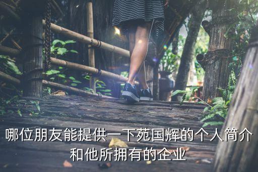 哪位朋友能提供一下苑國輝的個(gè)人簡介和他所擁有的企業(yè)