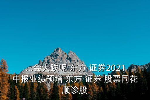 ...會大跌呢 東方 證券2021中報業(yè)績預(yù)增 東方 證券 股票同花順診股