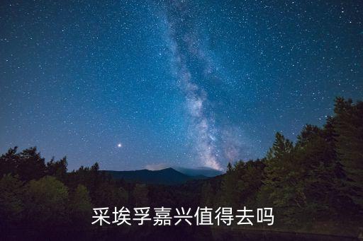 采埃孚風(fēng)電有限公司,杭州采埃孚電驅(qū)動有限公司