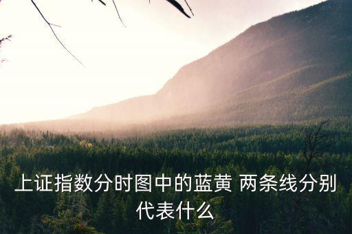 上證指數(shù)分時圖中的藍黃 兩條線分別代表什么