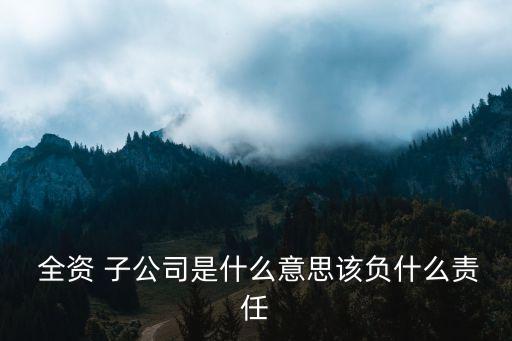  全資 子公司是什么意思該負(fù)什么責(zé)任