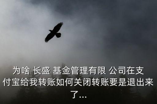 為啥 長盛 基金管理有限 公司在支付寶給我轉(zhuǎn)賬如何關(guān)閉轉(zhuǎn)賬要是退出來了...