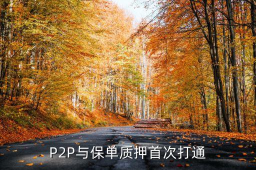 P2P與保單質(zhì)押首次打通