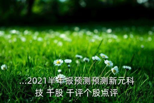 ...2021半年報(bào)預(yù)測(cè)預(yù)測(cè)新元科技 千股 千評(píng)個(gè)股點(diǎn)評(píng)