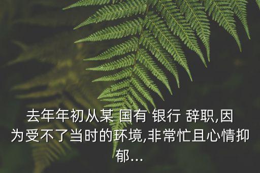 去年年初從某 國有 銀行 辭職,因?yàn)槭懿涣水?dāng)時(shí)的環(huán)境,非常忙且心情抑郁...