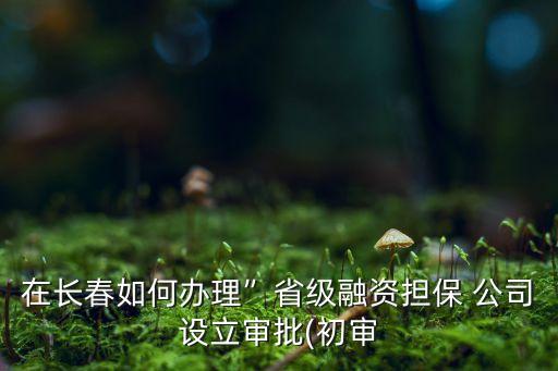 在長春如何辦理”省級融資擔(dān)保 公司設(shè)立審批(初審