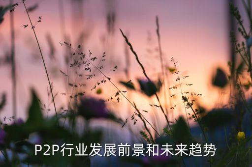 P2P行業(yè)發(fā)展前景和未來趨勢(shì)