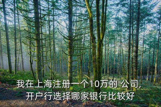 我在上海注冊(cè)一個(gè)10萬的 公司, 開戶行選擇哪家銀行比較好