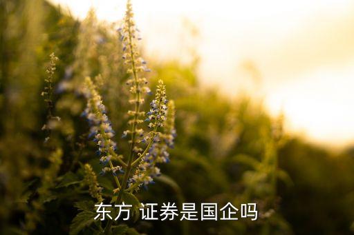 東方 證券是國企嗎