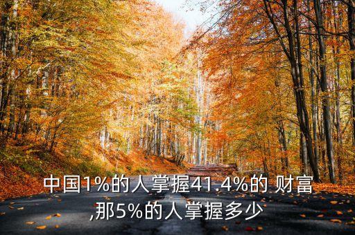 中國(guó)1%的人掌握41.4%的 財(cái)富,那5%的人掌握多少