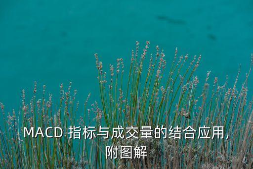 MACD 指標與成交量的結合應用,附圖解