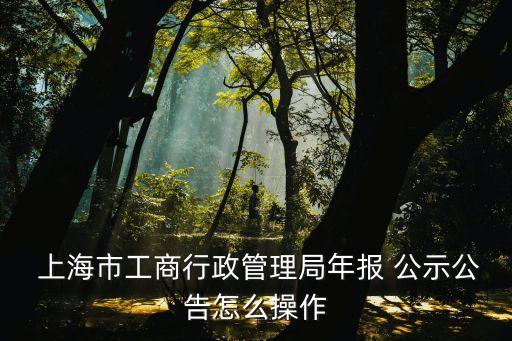  上海市工商行政管理局年報(bào) 公示公告怎么操作