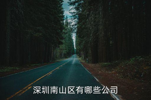 深圳南山區(qū)有哪些公司