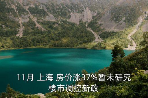 11月 上海 房價漲37%暫未研究樓市調(diào)控新政