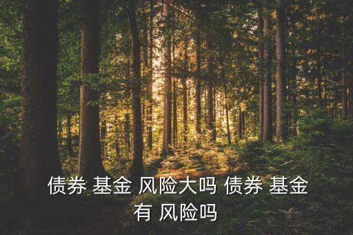  債券 基金 風險大嗎 債券 基金有 風險嗎