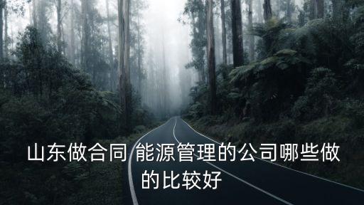  山東做合同 能源管理的公司哪些做的比較好