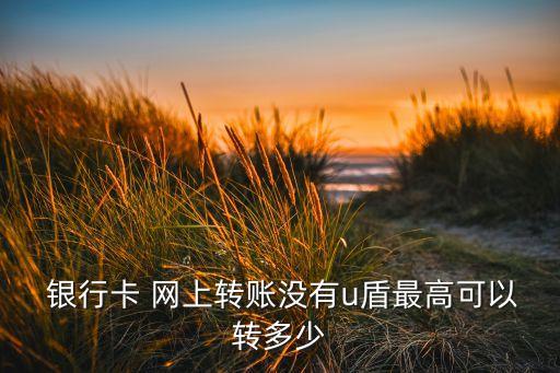  銀行卡 網(wǎng)上轉(zhuǎn)賬沒(méi)有u盾最高可以轉(zhuǎn)多少