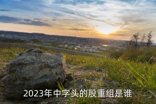 2023年中字頭的股重組是誰