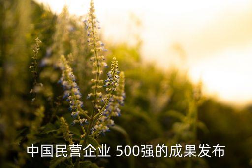 2010中國民企500強,山東民企500強名單