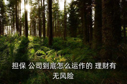 擔保理財公司,給理財客戶寫擔保有效嗎