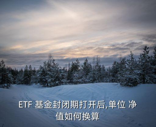 etf基金每日凈值查詢