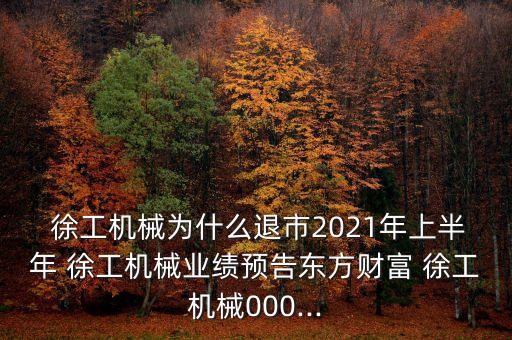  徐工機械為什么退市2021年上半年 徐工機械業(yè)績預告東方財富 徐工機械000...