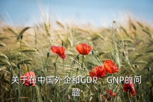 gnp中國(guó),中國(guó)GDP和GNP